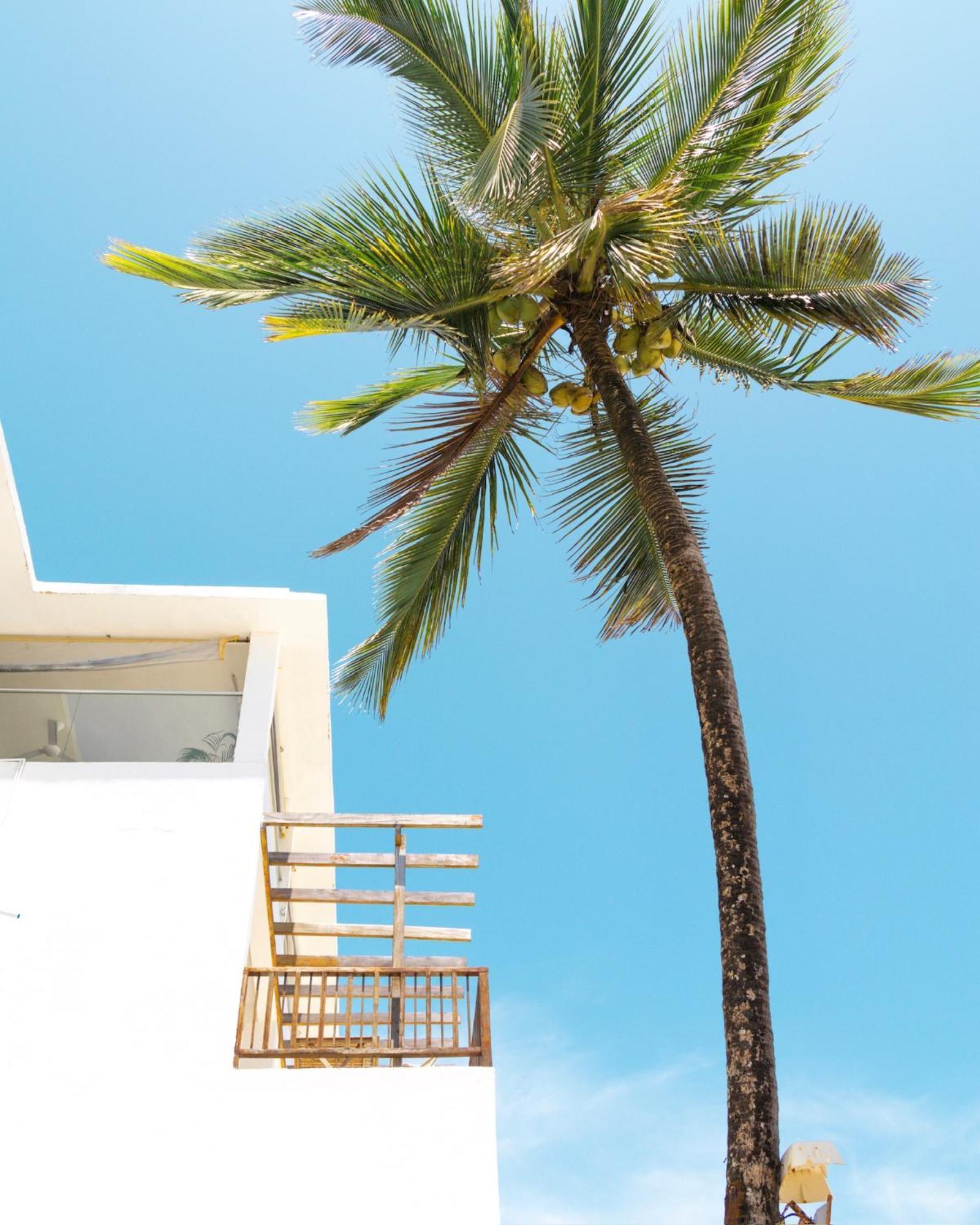 Pili Pili Sunrise Beach Jambiani (Zanzibar) Exterior foto